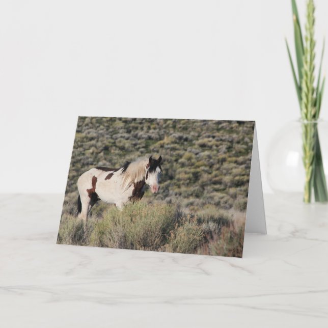 Shaman WildCard  Thank You Card (Front)