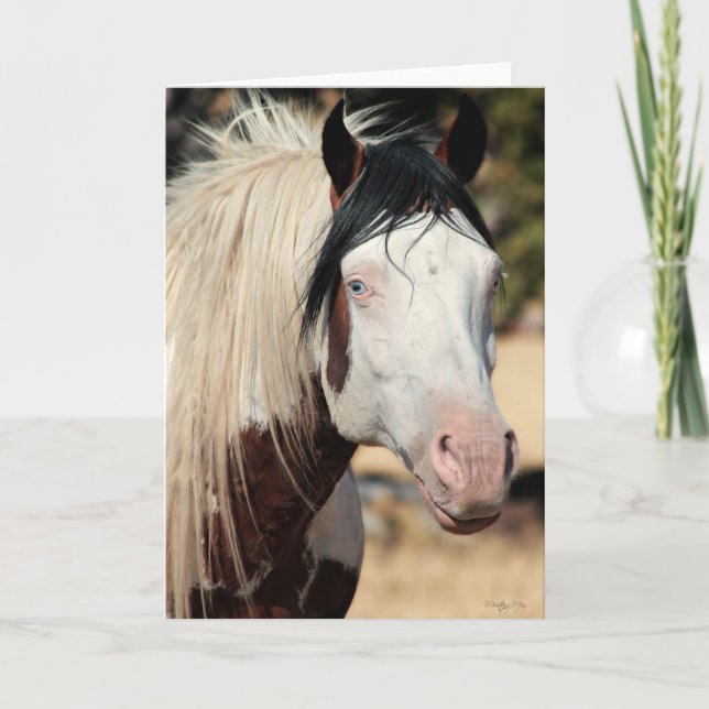 Shaman WildCard  Thank You Card (Front)