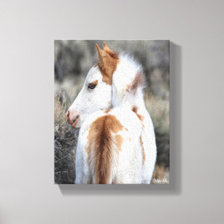 Shaman's Little Filly Wrapped Canvas Image