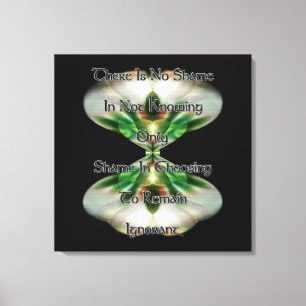Shame and Ignorance Canvas Print