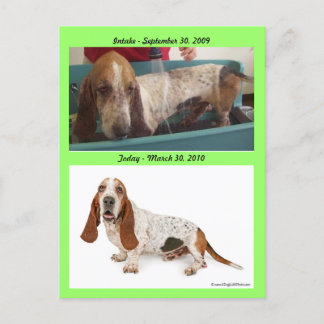 Shammy_Landscape, Shammy2, Intake - September 3... Postcard