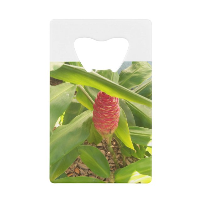 Shampoo Ginger flower (Front)