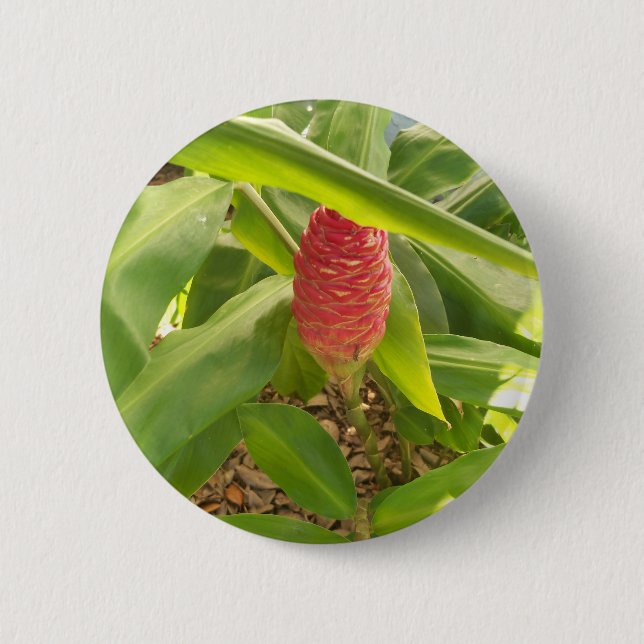 Shampoo Ginger flower 6 Cm Round Badge (Front)