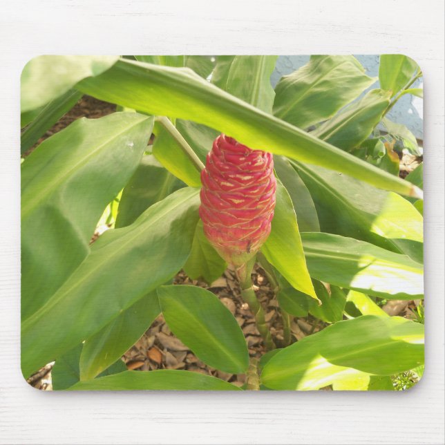 Shampoo Ginger flower Mouse Mat (Front)