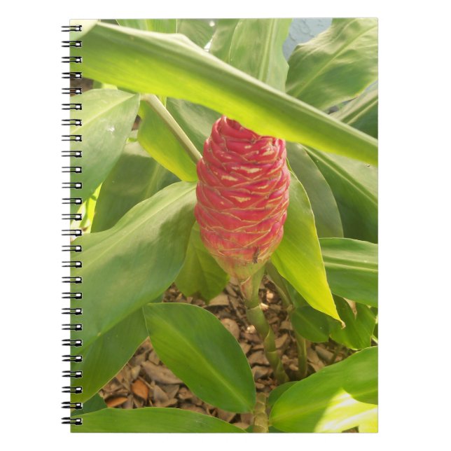 Shampoo Ginger flower Notebook (Front)