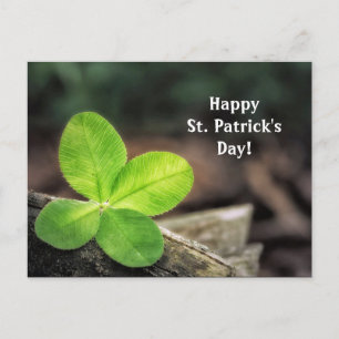 Shamrock 2 St. Patrick's Day Postcard