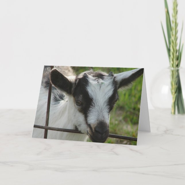 Shamrock Card (Front)