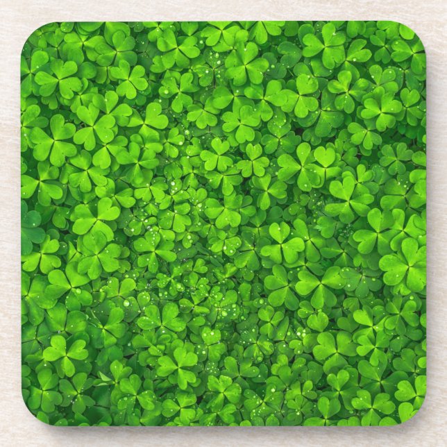 Shamrock Clovers Green Irish Symbol Ireland Coaster (Front)