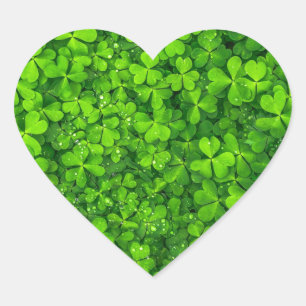 Shamrock Clovers Green Irish Symbol Ireland Heart Sticker