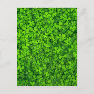 Shamrock Clovers Green Irish Symbol Ireland Postcard