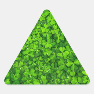 Shamrock Clovers Green Irish Symbol Ireland Triangle Sticker