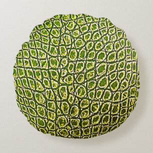 SHAMROCK GATOR ROUND PILLOW