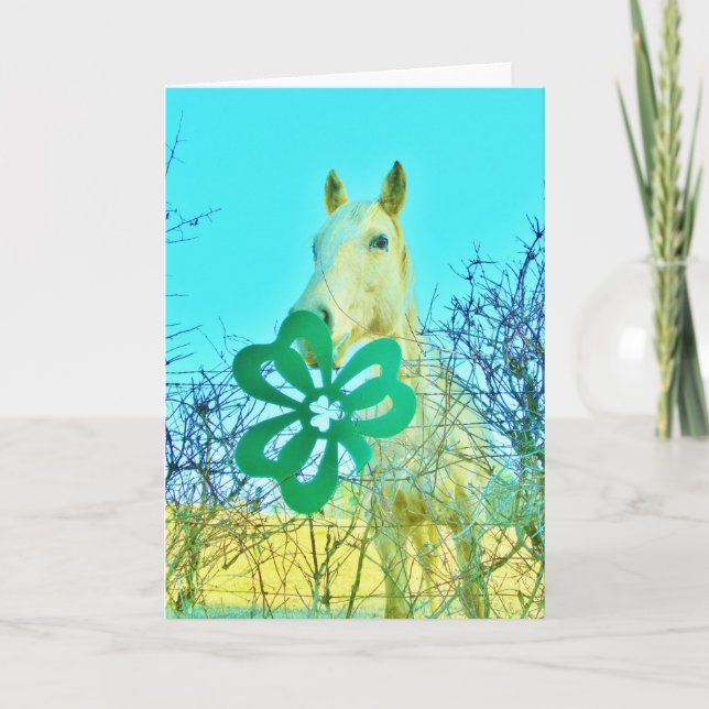 Shamrock horse Horses Card (Front)