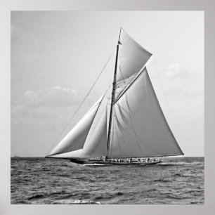 Shamrock II at Outer Mark 1901 BW Poster