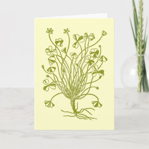 Shamrock Plant Card