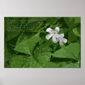 Shamrock Poster with Text -36x24 -or smaller