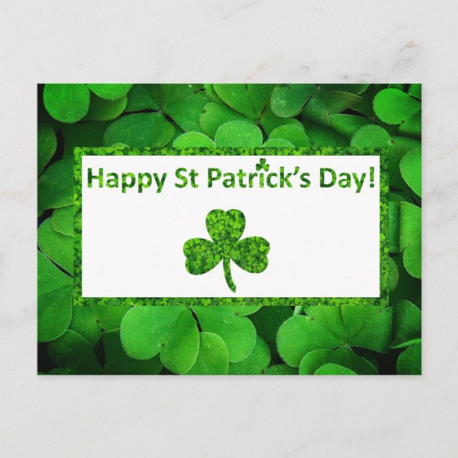 Shamrock St Patrick's  Day Holiday Postcard (Front)