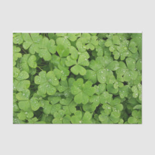Shamrock tissue paper green nature