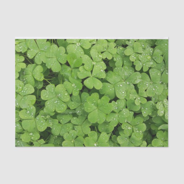 Shamrock tissue paper green nature (Front)