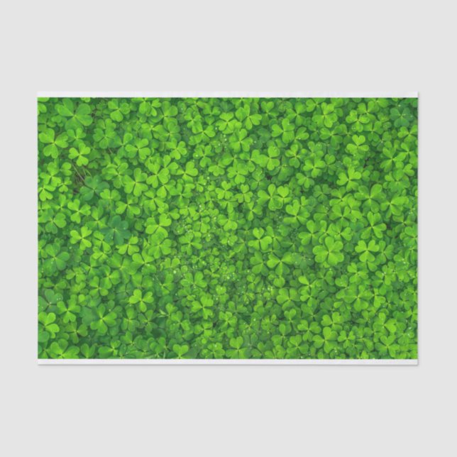 Shamrocks Galore, Tissue Paper (Front)