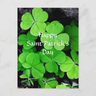 Shamrocks, Happy Saint Patrick's Day Postcard