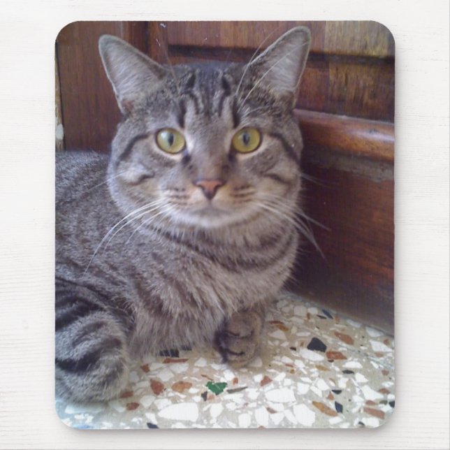 Shangel Mouse Mat (Front)