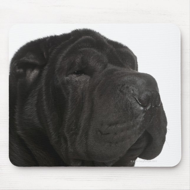 Shar Pei (1 year old) close-up Mouse Mat (Front)