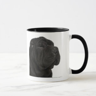 Shar Pei (1 year old) close-up Mug