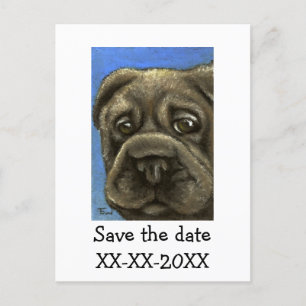 shar pei announcement postcard