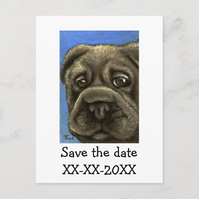 shar pei announcement postcard (Front)