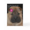 Shar Pei Birthday card-Just Sits