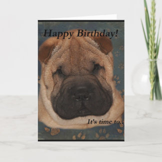 Shar Pei Birthday-Take Paws Card