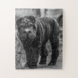 SHAR PEI BLACK DOG JIGSAW PUZZLE
