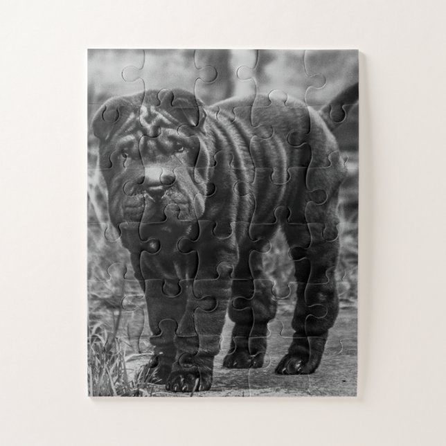 SHAR PEI BLACK DOG JIGSAW PUZZLE (Vertical)