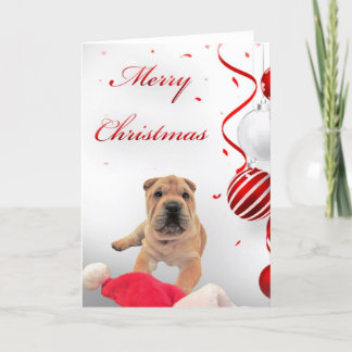 Shar-Pei Christmas Card