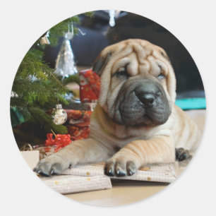 Shar Pei Christmas Classic Round Sticker