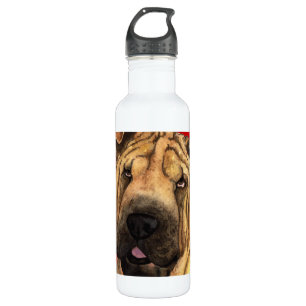 Shar-Pei Colour Block 710 Ml Water Bottle