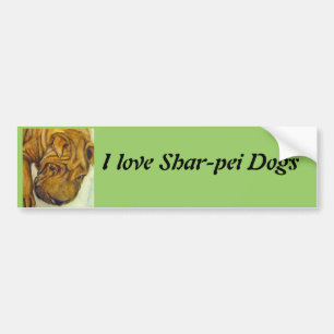 Shar-Pei Dogs bumper sticker