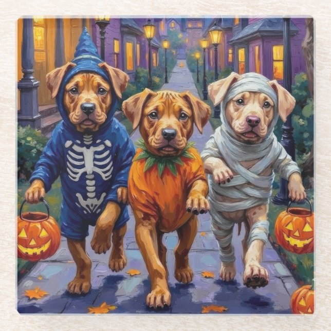 Shar Pei Dogs Trick-or-Treating Halloween Costumes Glass Coaster (Front)