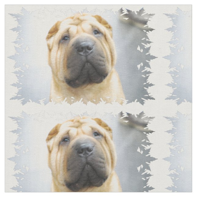 Shar Pei Fabric (Close Up)