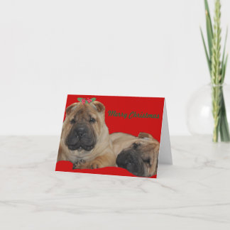 Shar Pei Holly Puppy Christmas Holiday Card