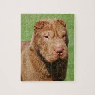 Shar Pei Jigsaw Puzzle