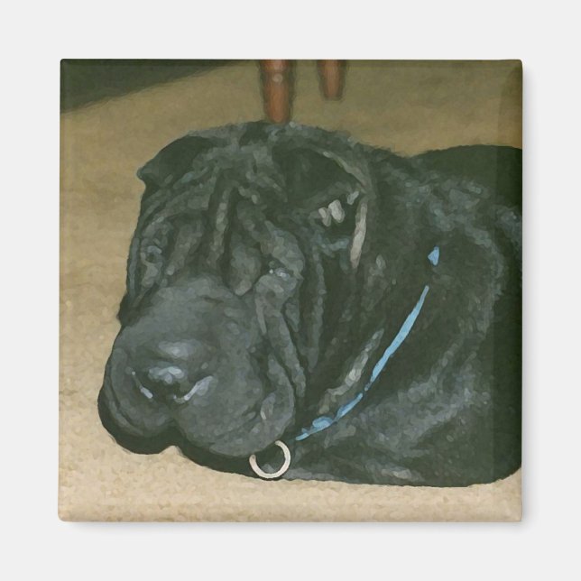 Shar pei magnet (Front)