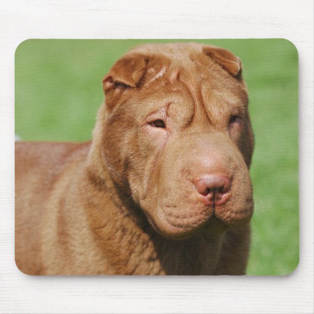 Shar Pei Mouse Mat (Front)