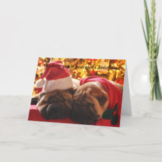 Shar Pei Peaceful Christmas Holiday Card