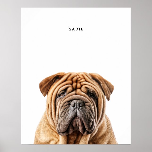 Shar Pei Personalised Print (Front)