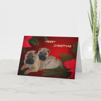 Shar Pei Puppies Poinsettia card