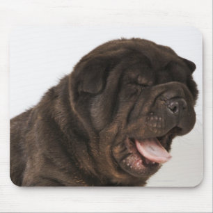 Shar Pei puppy yawning, studio shot Mouse Mat