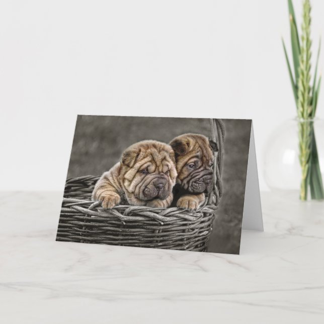 Shar-Pei Pups in Basket Greeting Card (Front)