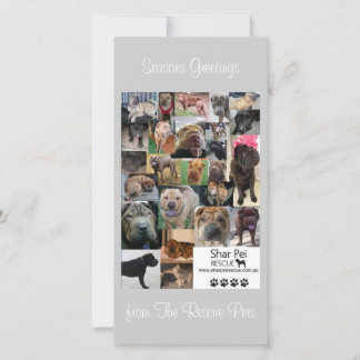 Shar Pei Rescue Xmas Card